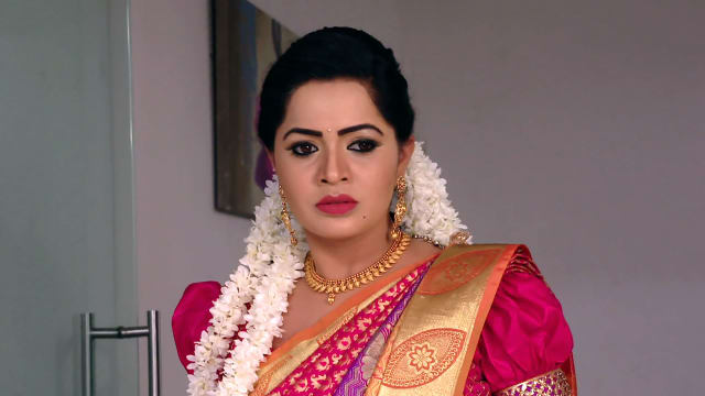 Watch Karthika Deepam Full Episode 497 Online In HD On Hotstar UK