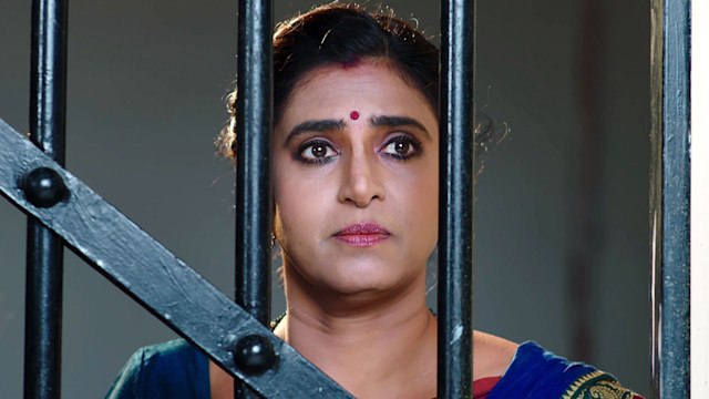 Watch Intinti Gruhalakshmi Full Episode Online In Hd On Hotstar Uk