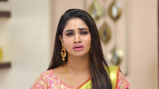 Watch Pagal Nilavu TV Serial Episode 515 Sneha S Request To Sathya