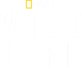 Wild Life - Disney+