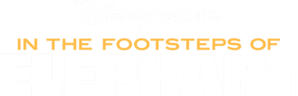 In the Footsteps of Elephant - Disney+