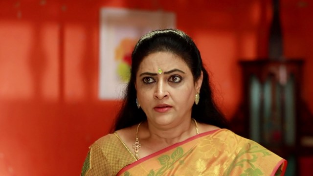 Raja Paarvai - Watch Episode 117 - Sadhana Gets Furious on Disney+ Hotstar