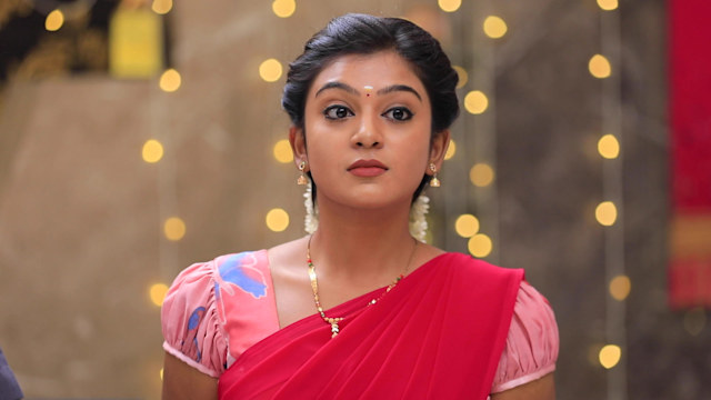 Nee Naan Kaadhal - Watch Episode 38 - A New Task For Abi On Disney+ Hotstar