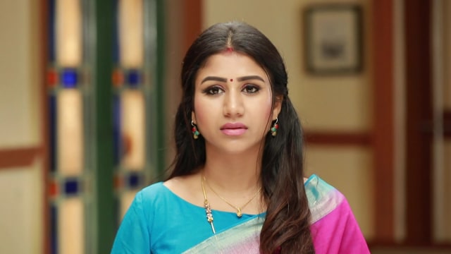 Raja Rani 2 - Watch Episode 72 - Sandhya Deduces the Truth on Disney+ ...