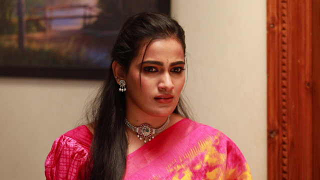 Chellamma Watch Episode 393 Megha Is Taken Aback On Disney Hotstar