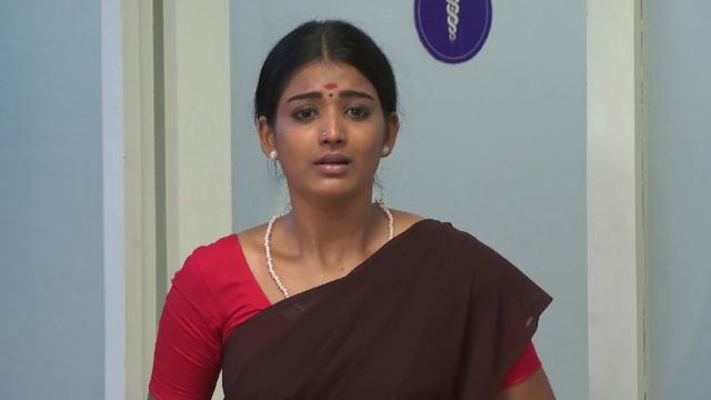 Neelakuyil serial malayalam on sale hotstar