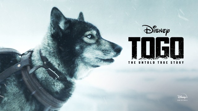 Watch Togo - Disney+ Hotstar