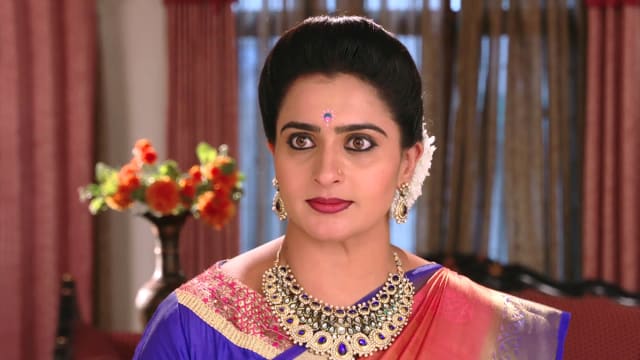 Watch Karthika Deepam TV Serial Episode 470 - Soundarya Tries Her Best ...