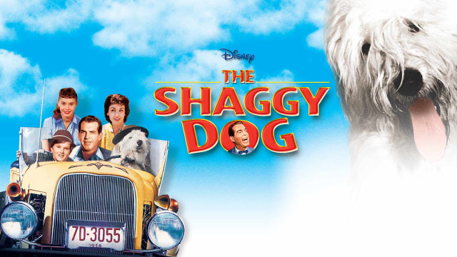 Watch The Shaggy Dog - Disney+ Hotstar