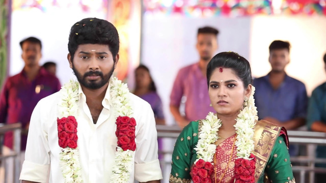 Pandian Stores - Watch Episode 669 - Kannan, Aishwarya Get Married on  Disney+ Hotstar