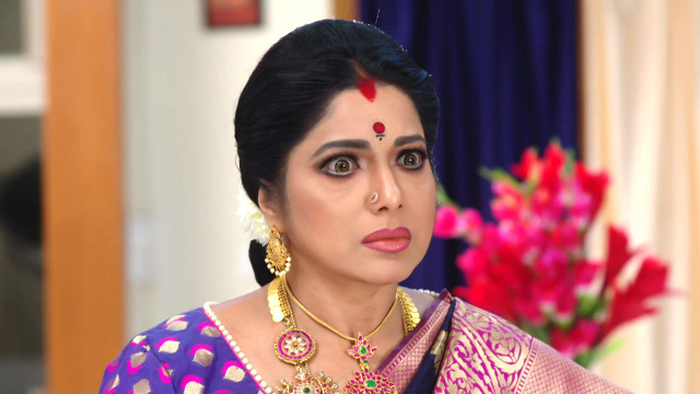 Savitrammagari Abbayi - Watch Episode 275 - Savitri Is Upset on Disney+ ...