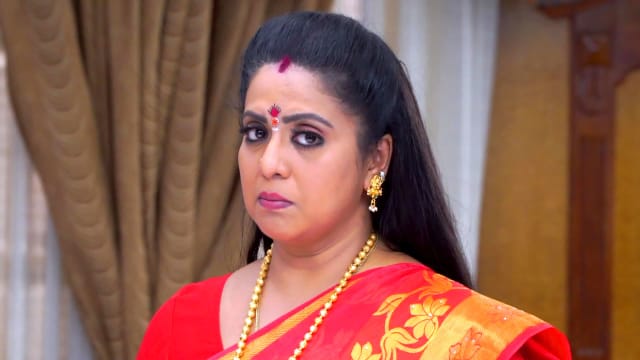 Watch Seetha Kalyanam TV Serial Episode 148 - Rajeshwari to Convince ...