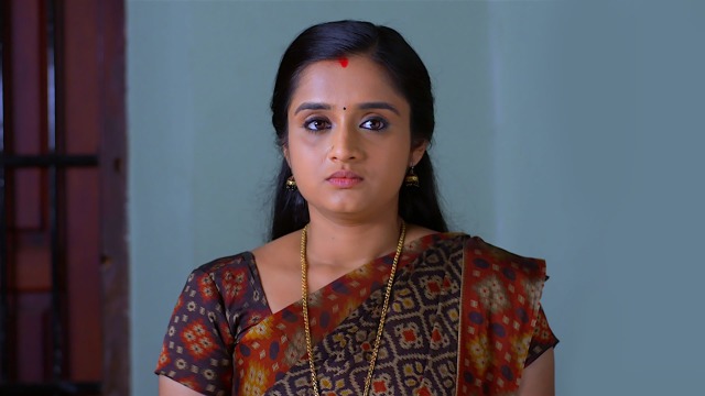 Santhwanam - Watch Episode 228 - Anjali in a Fix on Disney+ Hotstar