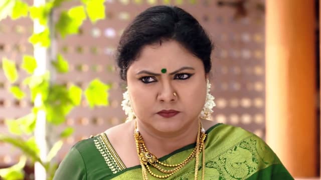 Ponnukku Thanga Manasu - Watch Episode 108 - Sethulakshmi Loses Her ...