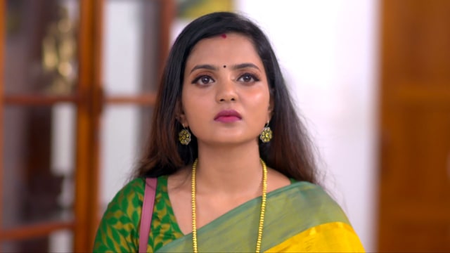 Kudumbavilakku - Watch Episode 354 - A Shocker for Sanjana on Disney+ ...