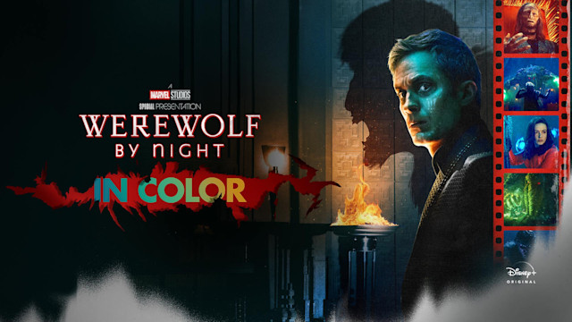 Werewolf by Night in Color - Disney+ Hotstar