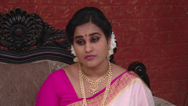 Lakshmi Kalyanam Watch Episode 862 Nalinis Sinister Plan On