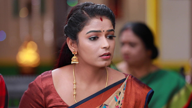 Namma Veettu Ponnu - Watch Episode 392 - Meenatchi's Plan Misfires on ...