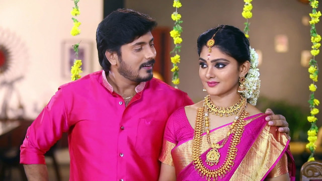 ponnukku-thanga-manasu-watch-episode-528-divya-s-baby-shower-ceremony-on-disney-hotstar