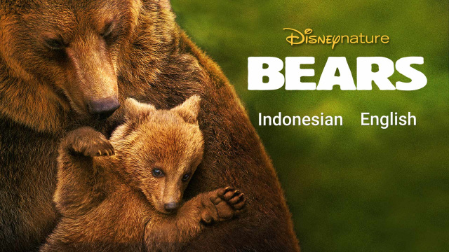 Bears Full Movie Kids Film Di Disney Hotstar