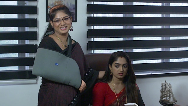 geetha govindam tv premiere