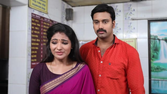 Nenjam Marapathillai - Watch Episode 245 - Arjun, Saranya Look for ...