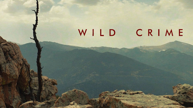 Watch Wild Crime Streaming Online