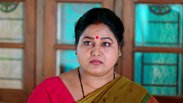 Srimathi Srinivas - Watch Episode 219 - Meenakshi Is Heartbroken on ...