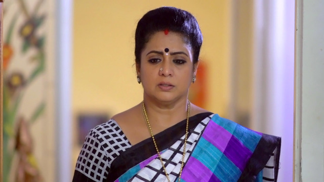 Seetha Kalyanam - Watch Episode 602 - Rajeshwari in Trouble on Disney+ ...