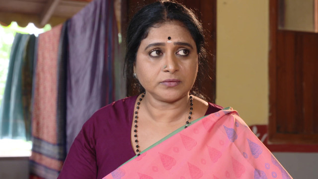 Devatha - Anubandhala Alayam - Watch Episode 25 - A Surprise for ...