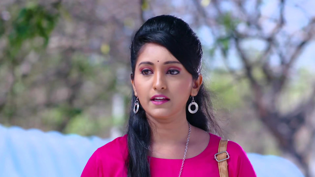 Varalakshmi Stores - Watch Episode 266 - Radhika Meets Appu on Disney+ ...