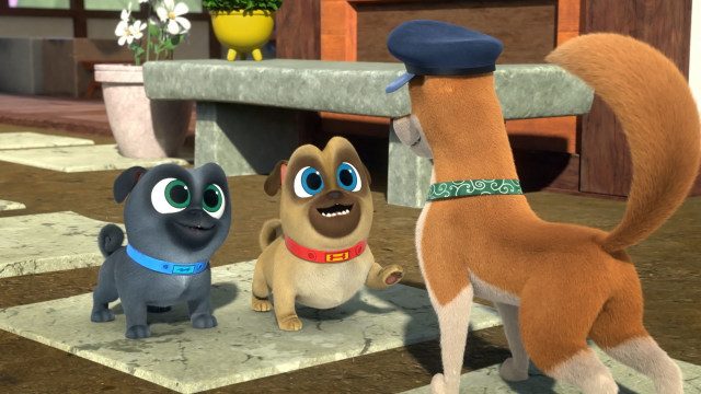 Nonton Puppy Dog Pals Season 3 Episode 16 - Bob's Blue Belt / The ...