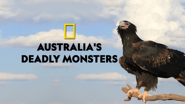 australia-s-deadly-monsters-serial-full-episodes-watch-australia-s