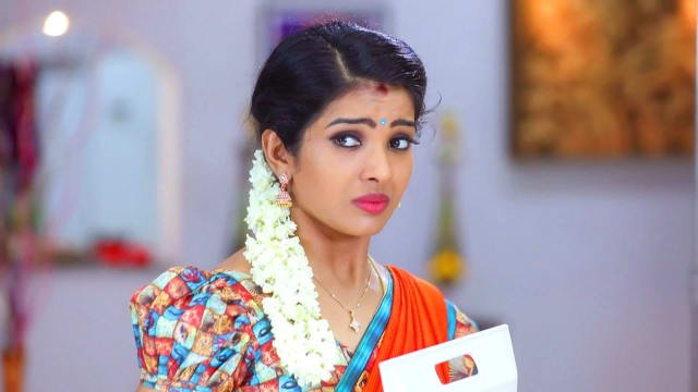 Watch Aranmanai Kili Tv Serial Episode 147 Jaanu Faces Humiliation 