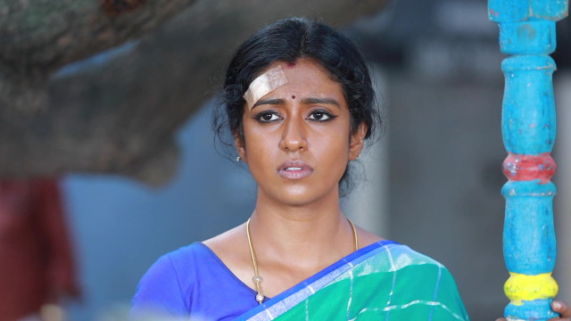 Watch Barathi Kannamma Season 1 Episode 327 on Hotstar Premium