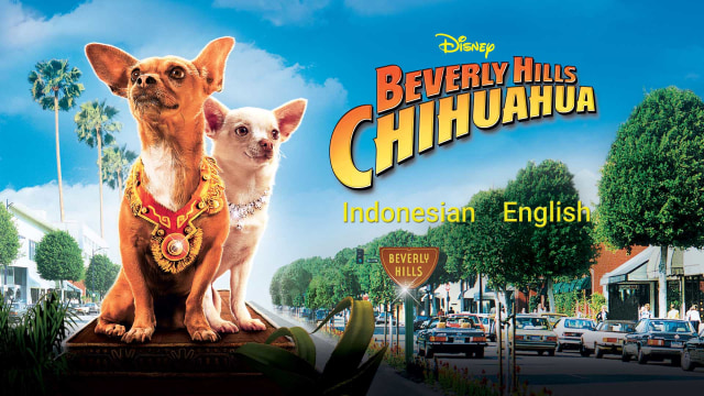 Beverly Hills Chihuahua Full Movie. Comedy Film Di Disney+ Hotstar.