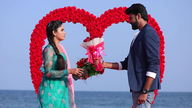 Nee Naan Kaadhal - Watch Episode 61 - Akash Proposes To Anu On Disney+ ...