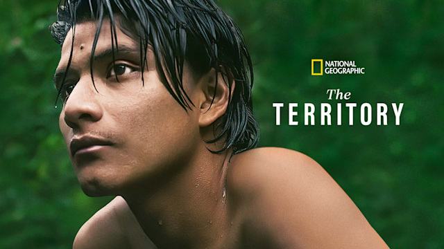 The Territory - Disney+ Hotstar