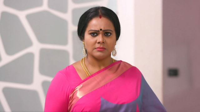 Watch Neelakuyil Tv Serial Episode 99 - Radhamani Loses Her Cool Full 