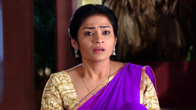 Devatha - Anubandhala Alayam - Watch Episode 26 - Kamala Learns the ...