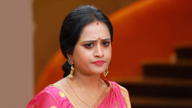 Raja Rani Watch Episode 521 Vadivu Tries To Corner Semba On Disney 