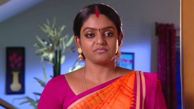 Watch Karthika Deepam TV Serial Episode 485 - Karthik Questions Deepa ...