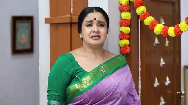Watch Aranmanai Kili Full Episode 355 Online in HD on Hotstar UK
