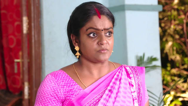 Karthika Deepam - Watch Episode 493 - Deepa Reveals the Truth on ...