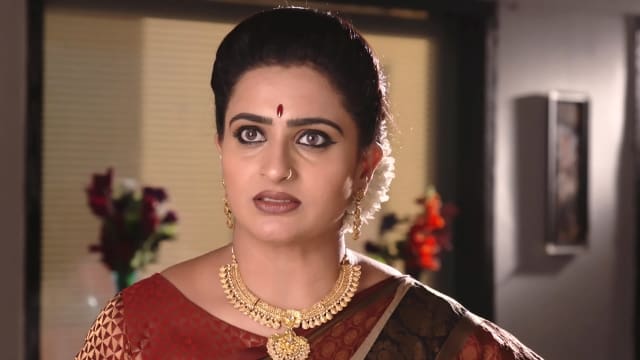 Watch Karthika Deepam TV Serial Episode 363 - Shravya Faces Soundarya's ...