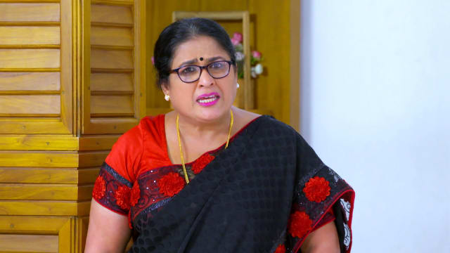 Vanambadi - Watch Episode 485 - Vishwanathan Meets Maheshwari On 