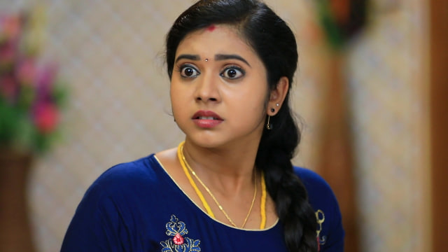 Mouna Raagam 2 - Watch Episode 247 - Shruthi Learns the Truth on ...