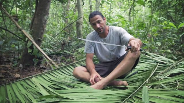 Watch Primal Survivor Season 7 Episode 2 on Disney+ Hotstar