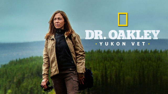 Dr. Oakley, Yukon Vet - Disney+ Hotstar