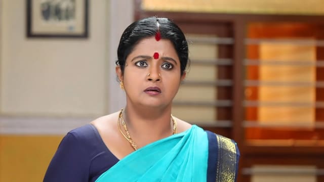 Chinnathambi - Watch Episode 377 - Annalakshmi Is in Shock on Disney+ ...